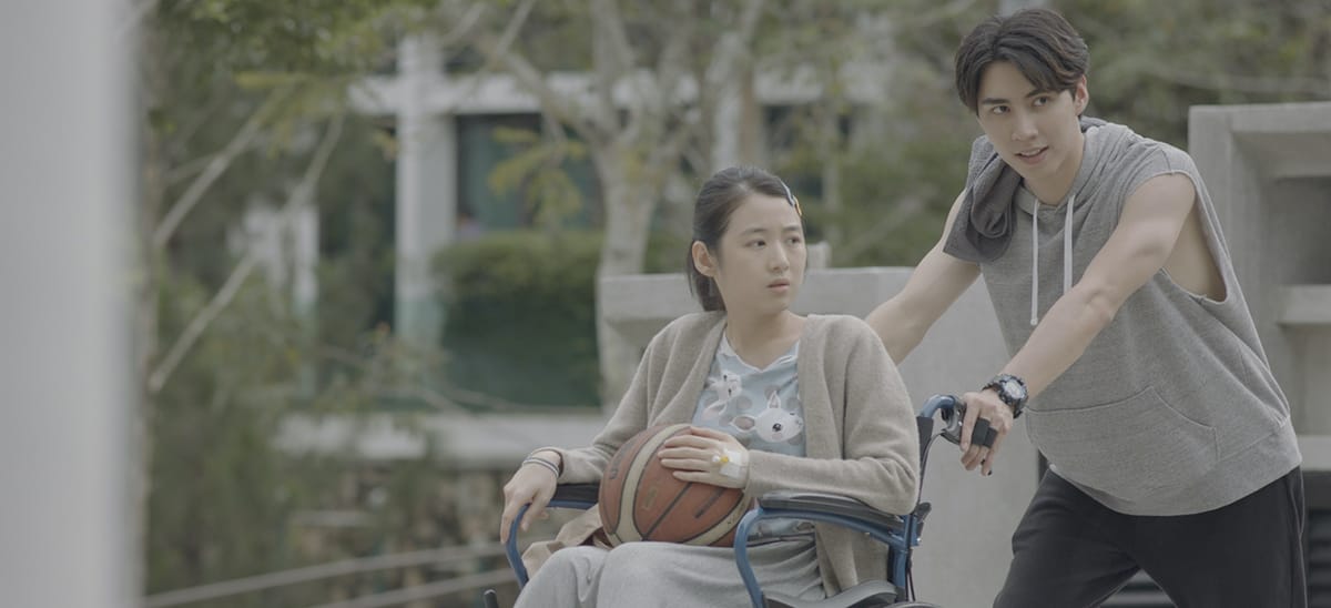 Celestial Tiger Enters Original Production With 'Model Family'